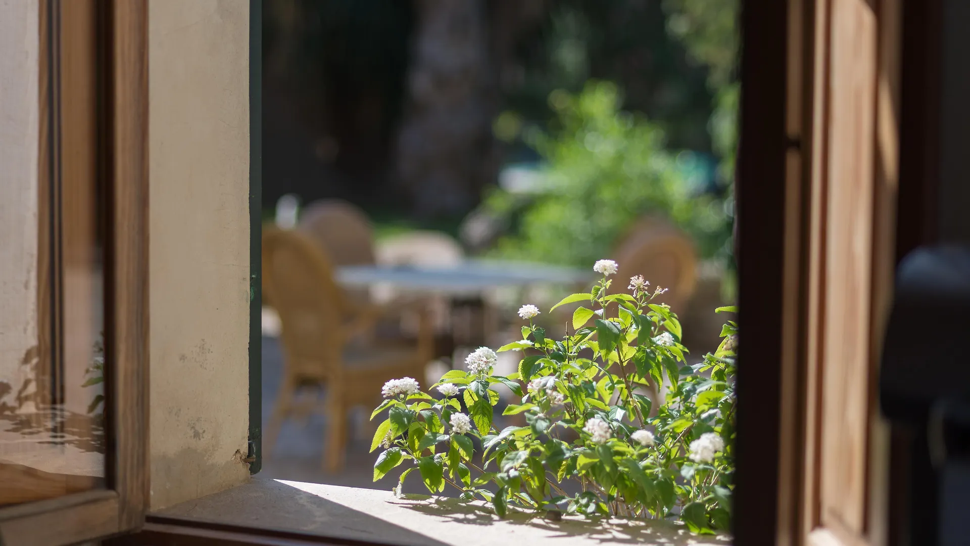 Petit Hotel Rural Son Jorda Sencelles