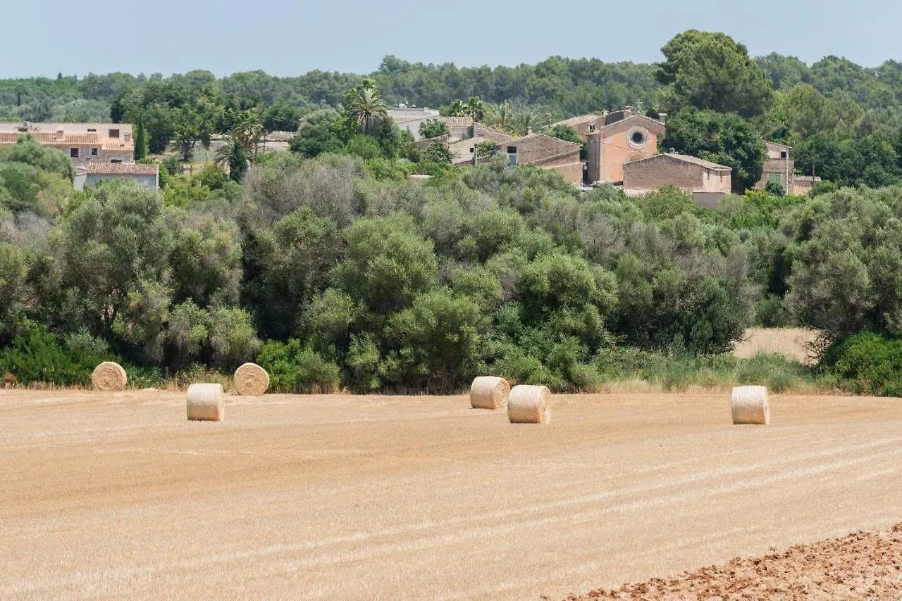 Petit Hotel Rural Son Jorda Sencelles